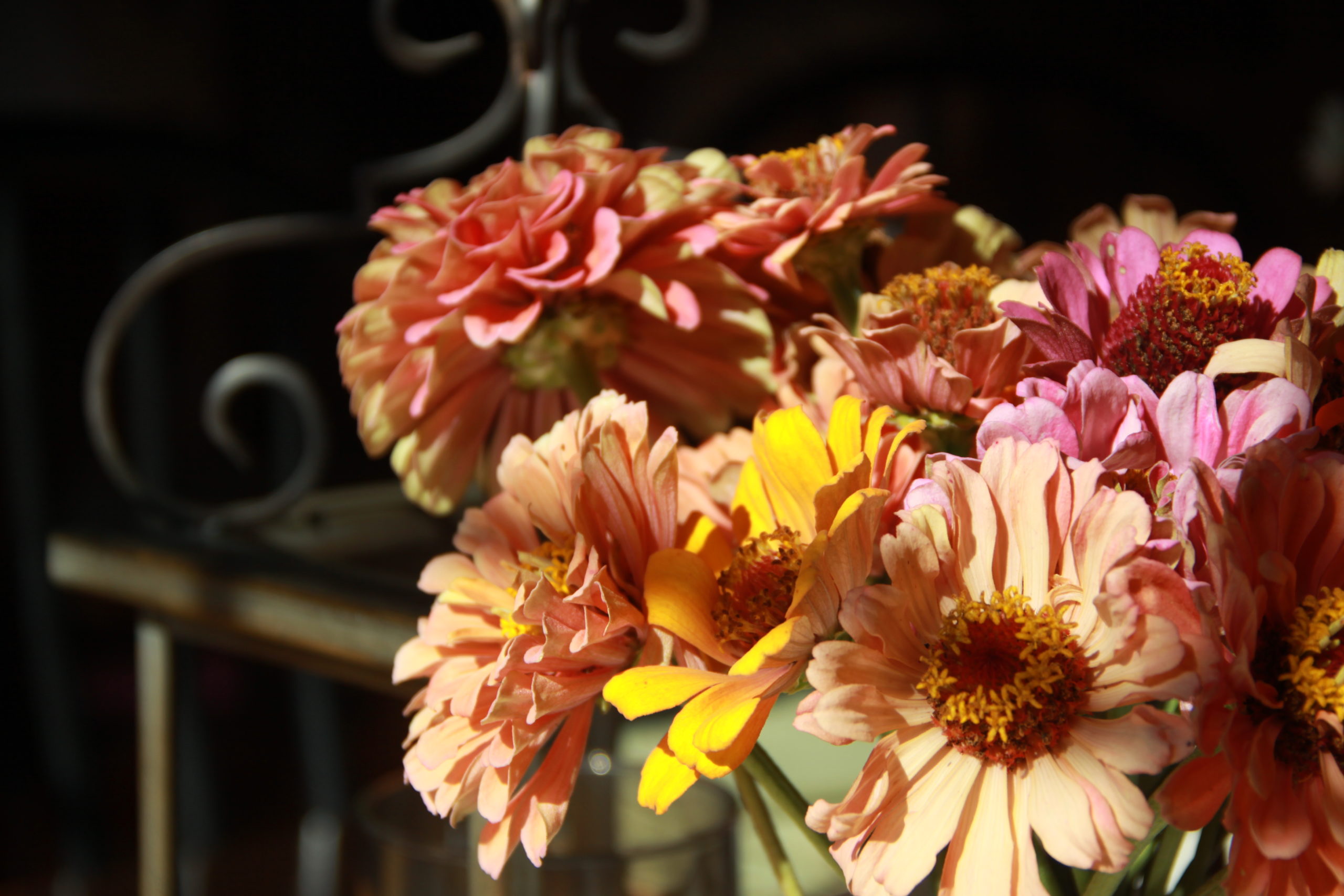 Bouquet Giveaway