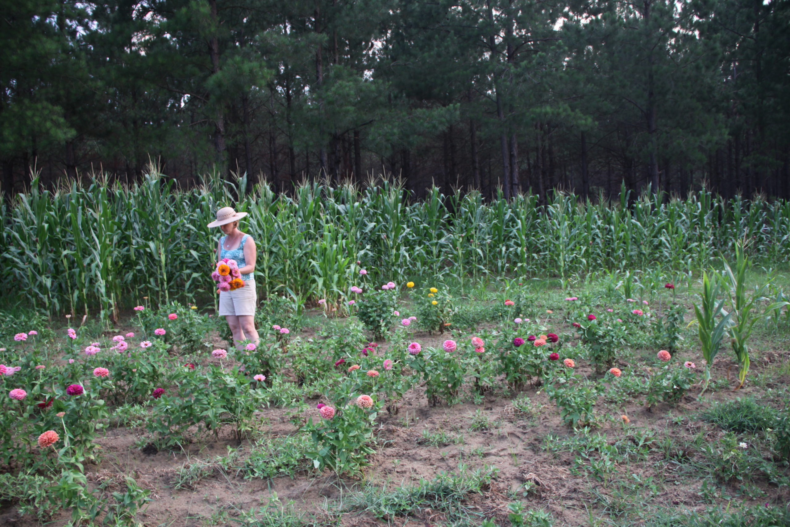 Farm Update
