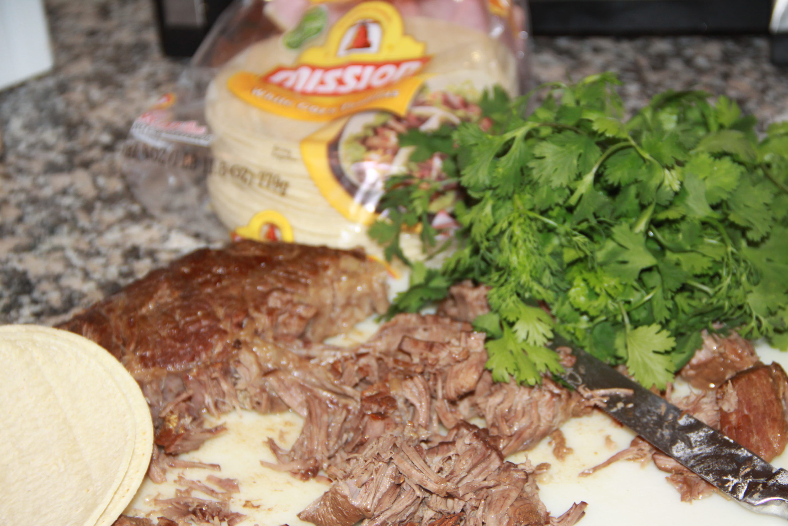 Fall Herbs: Cilantro