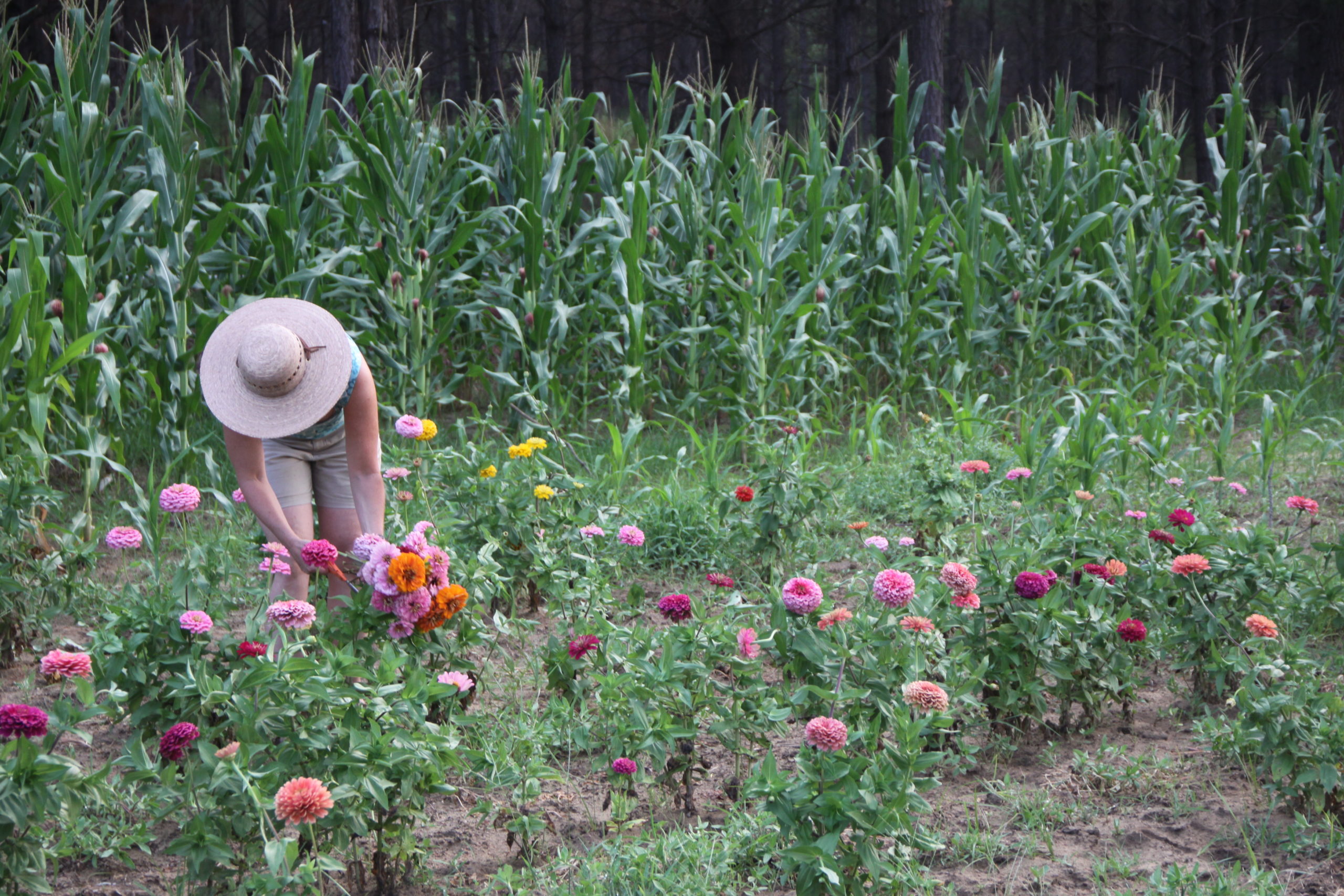 Garden on Purpose