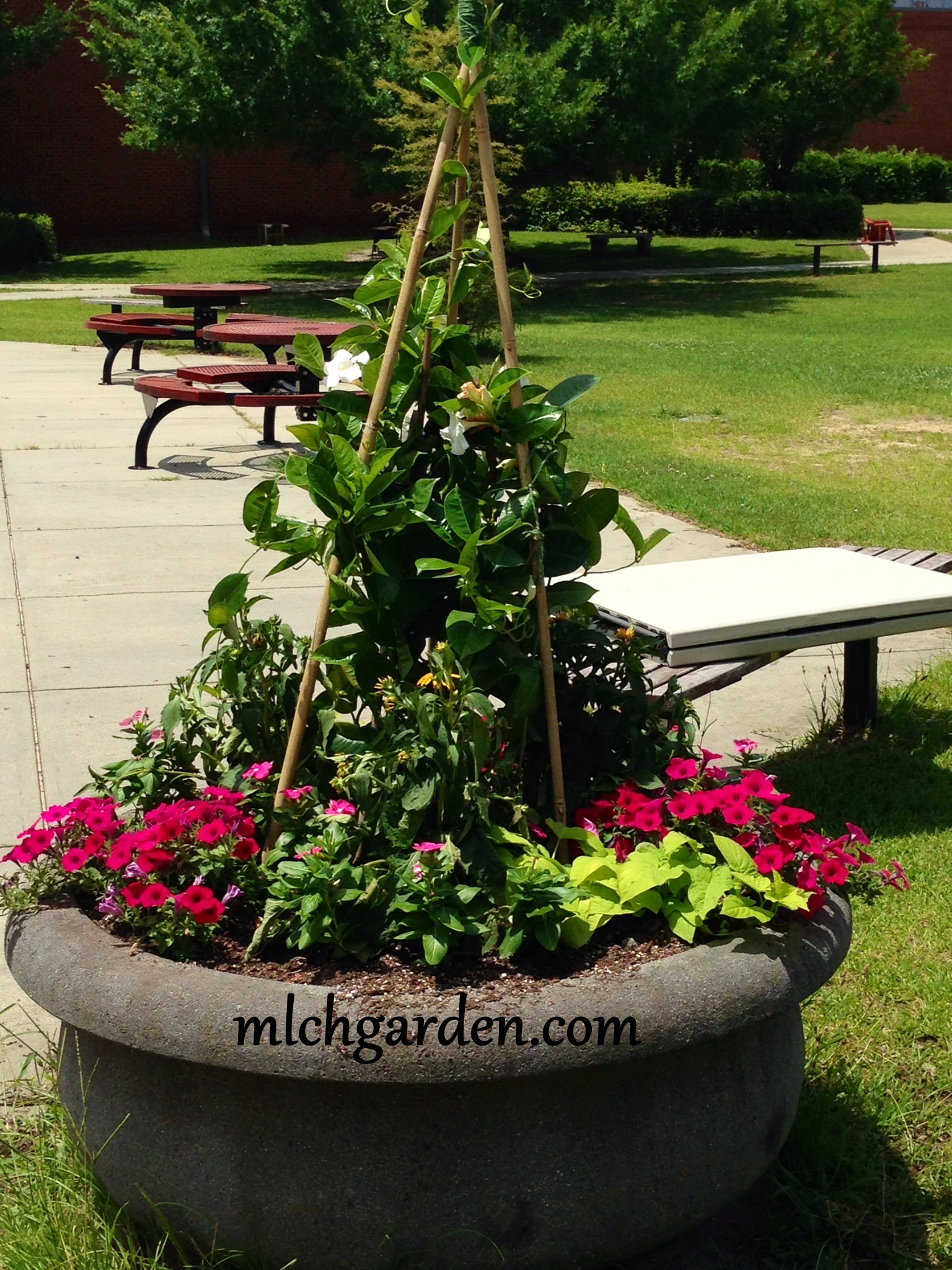 Can You Take the Heat? Summer School Containers.