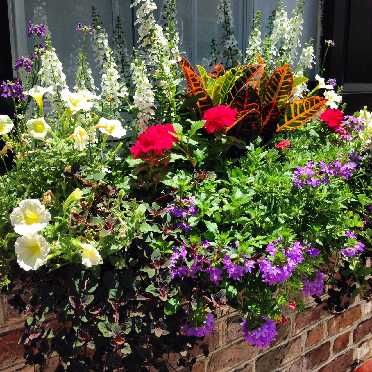 WOWZA Window Boxes Hit the Streets